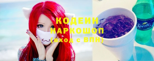 шишки Белоозёрский