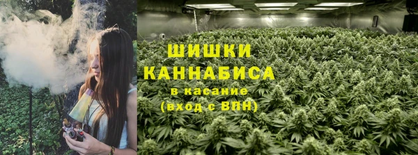 шишки Белоозёрский