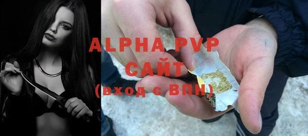 шишки Белоозёрский