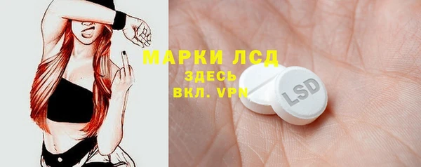 PSILOCYBIN Сосновый Бор