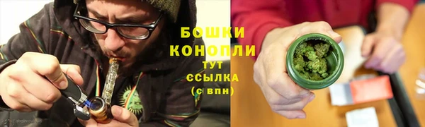 шишки Белоозёрский