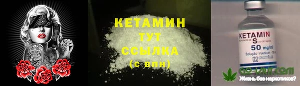 шишки Белоозёрский