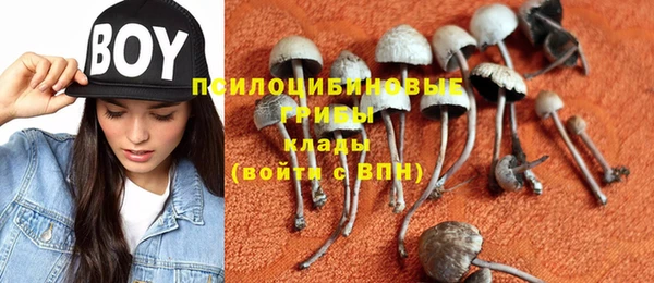 шишки Белоозёрский