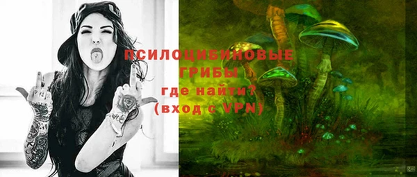 винт Белокуриха