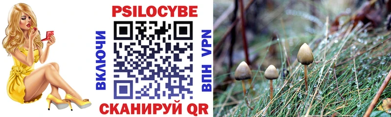 Псилоцибиновые грибы MAGIC MUSHROOMS  блэк спрут ссылка  Макаров  хочу наркоту 